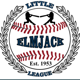 The Tadchiev Law Firm, P.C. Sponsors Elmjack Little League