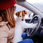 10 Ways to Recognize a Distracted Driver