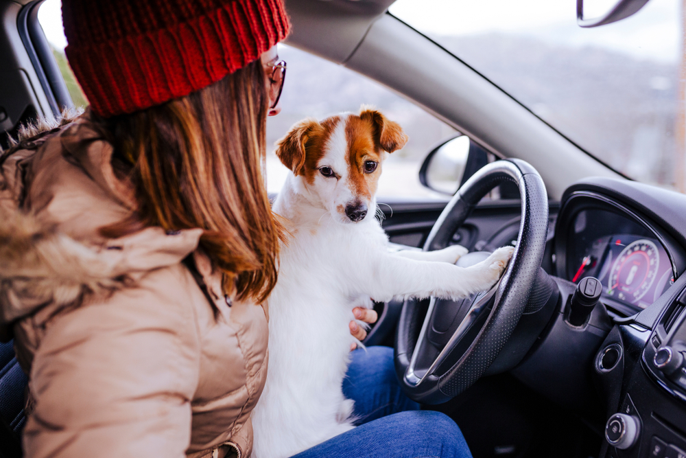 Ways to Recognize a Distracted Driver